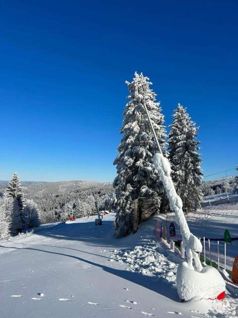 Mont Champ du Feu Hôtel restaurant Spa 4 étoiles à Belmont Alsace Vosges<br />
 