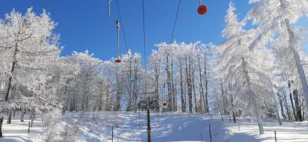 <span><span>Mont Champ du Feu 4-Sterne-Hotel Restaurant Spa in Belmont Alsace Vosges</span></span>